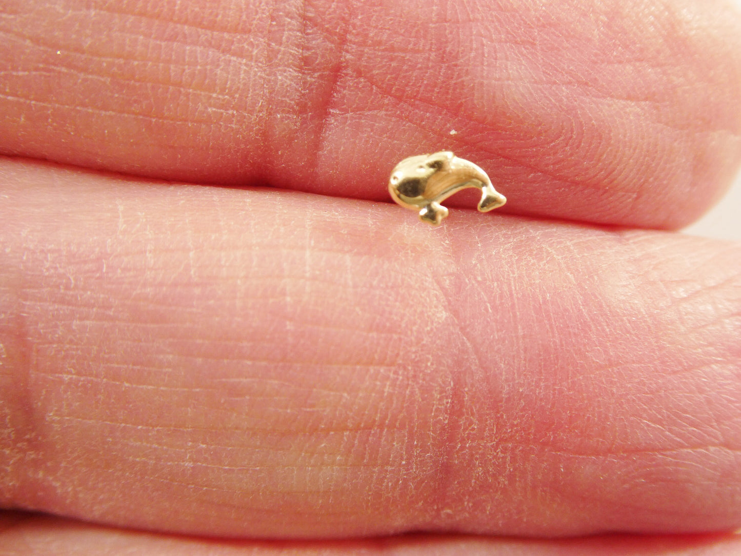 14k real solid yellow gold fish stud nose ring