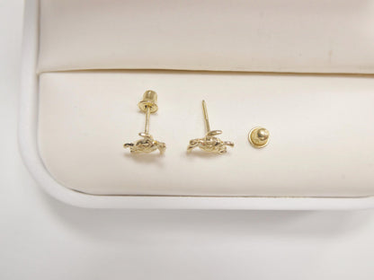 Real 10k Solid Yellow Gold Turtle Screw Back Post Earrings