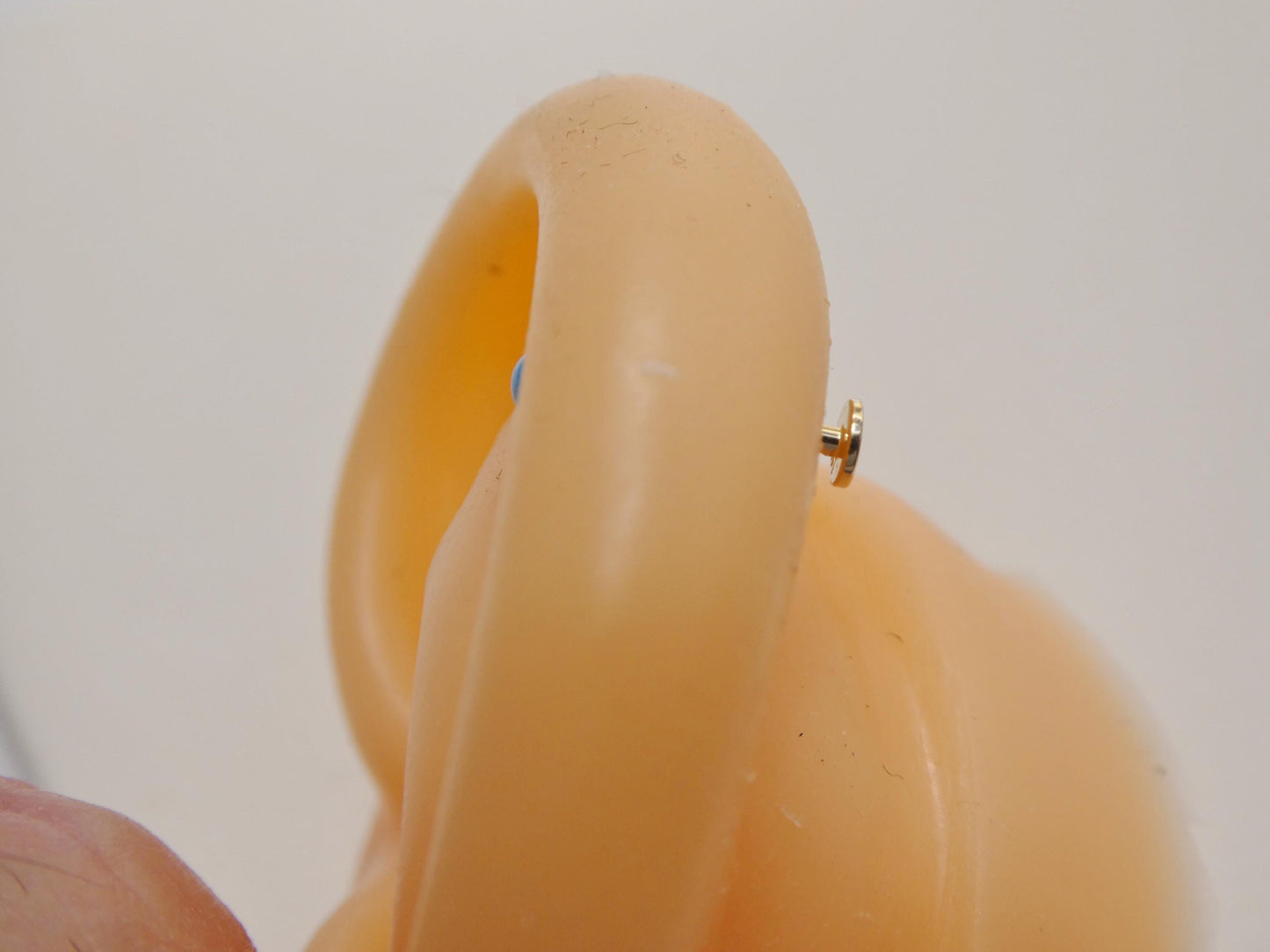 14k real solid yellow gold cartilage turquoise body ring piercing