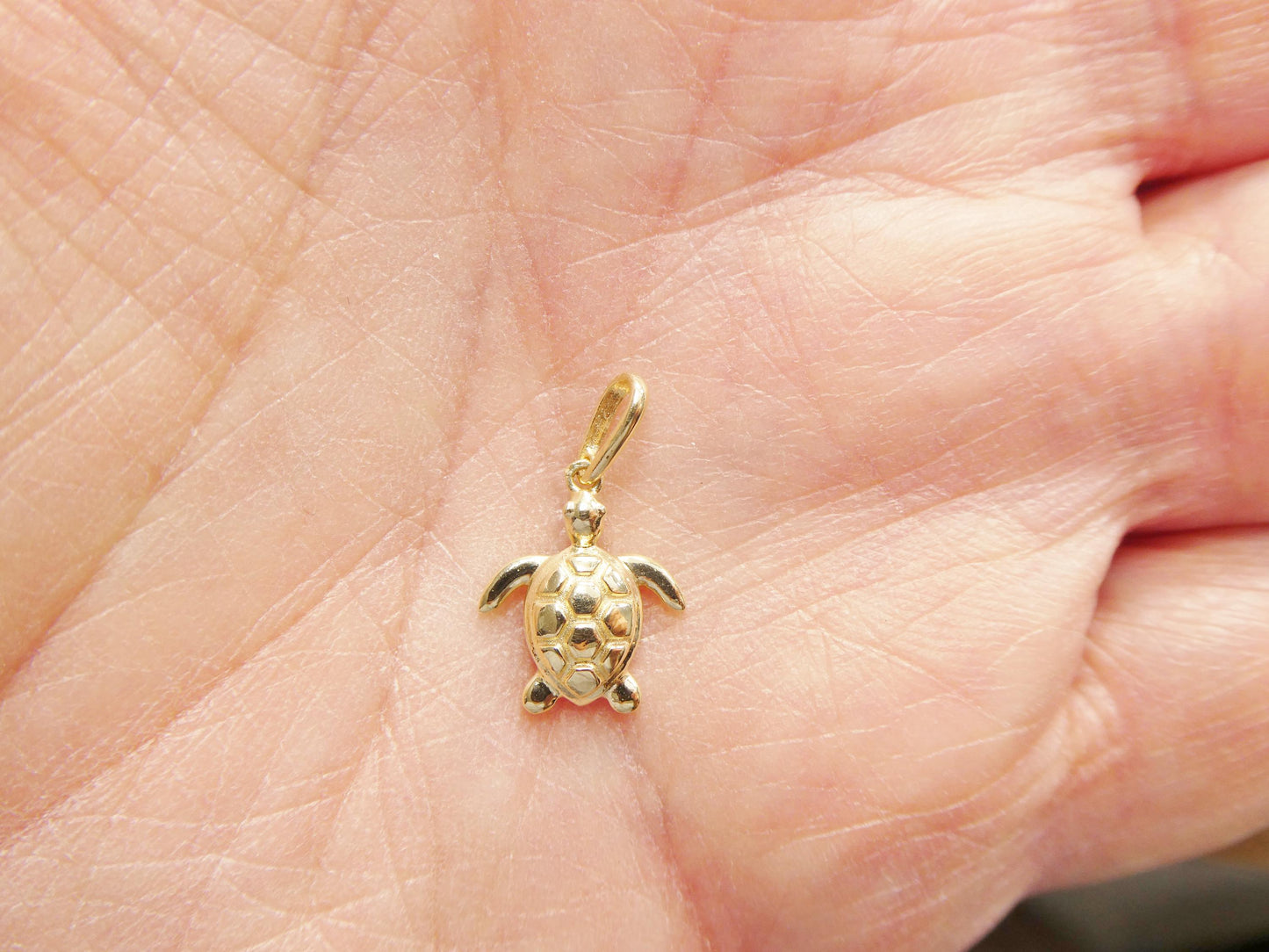 10k Yellow Gold Turtle Pendant Necklace: Solid Figaro Chain