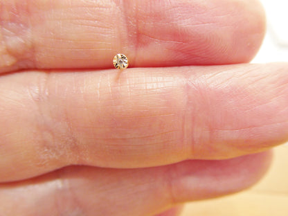 14k Real Solid Yellow Gold Small Tiny Nose Rings